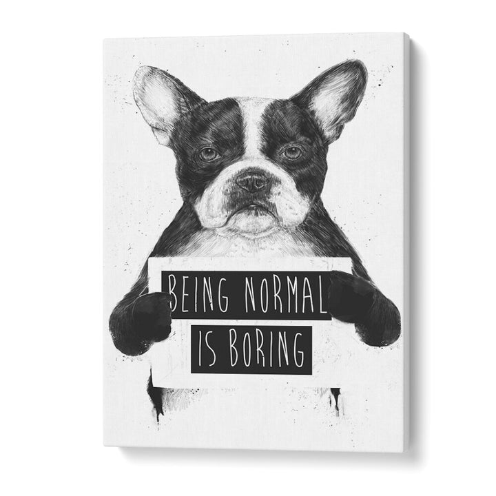 Being Normal Is Boring By Balazs Solti Wildlife Art Prints in Gallery Wrap