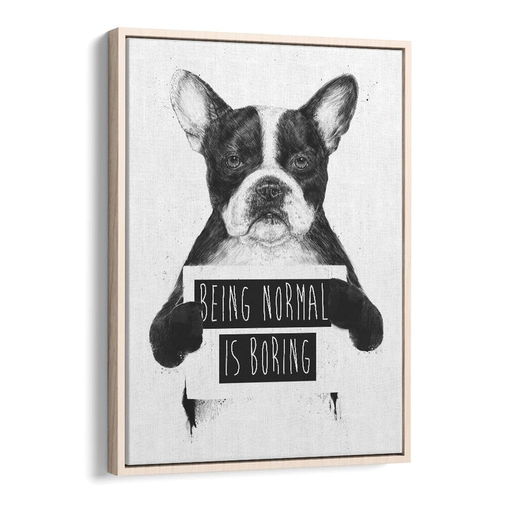 Being Normal Is Boring By Balazs Solti Wildlife Art Prints in Oak Wood Floater Frame