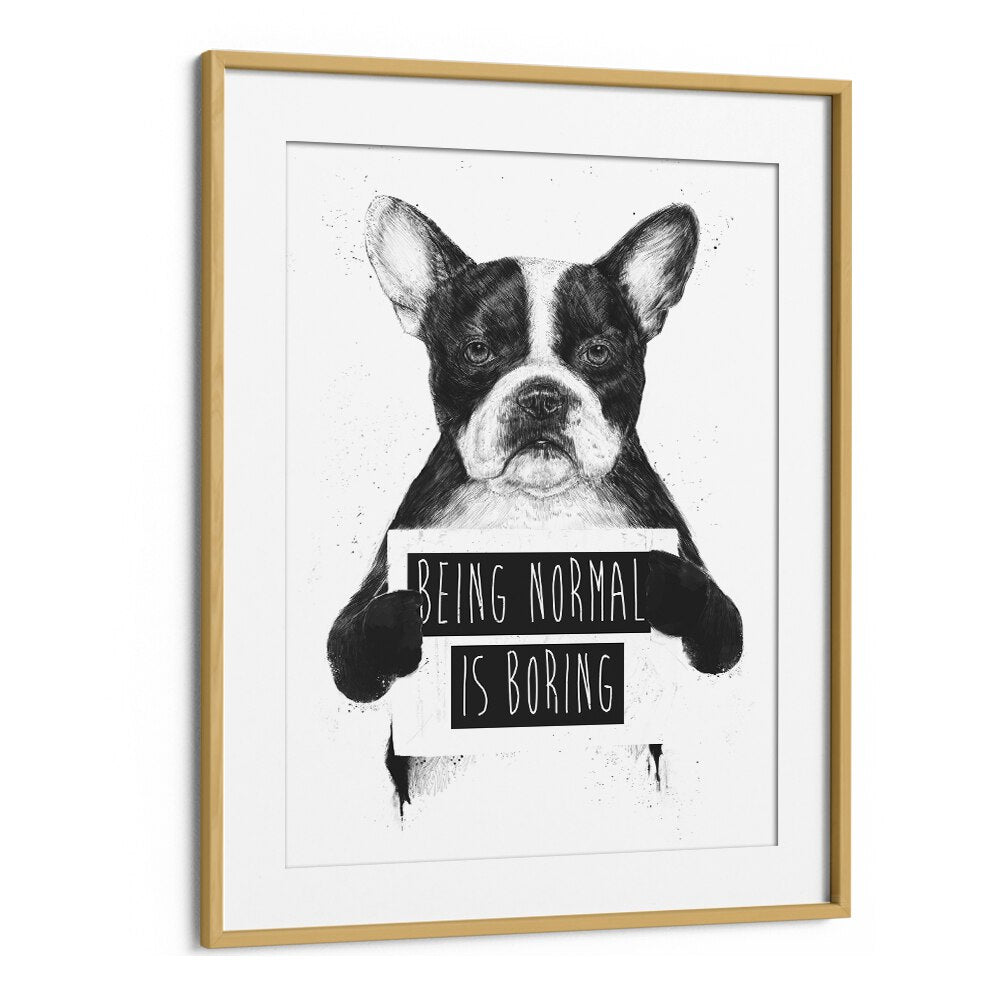 Being Normal Is Boring By Balazs Solti Wildlife Art Prints in Oak Wood Frame With Mount