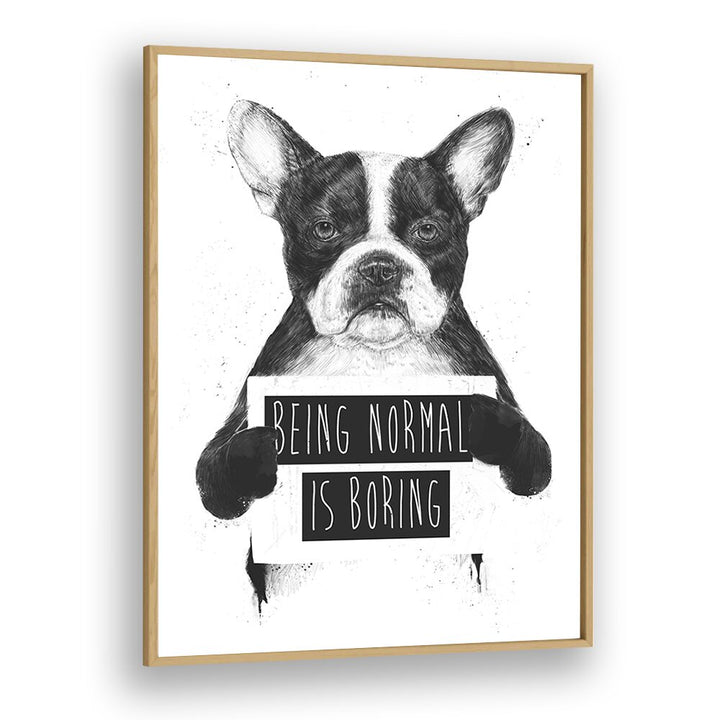 Being Normal Is Boring By Balazs Solti Wildlife Art Prints in Oak Wood Plain Frame