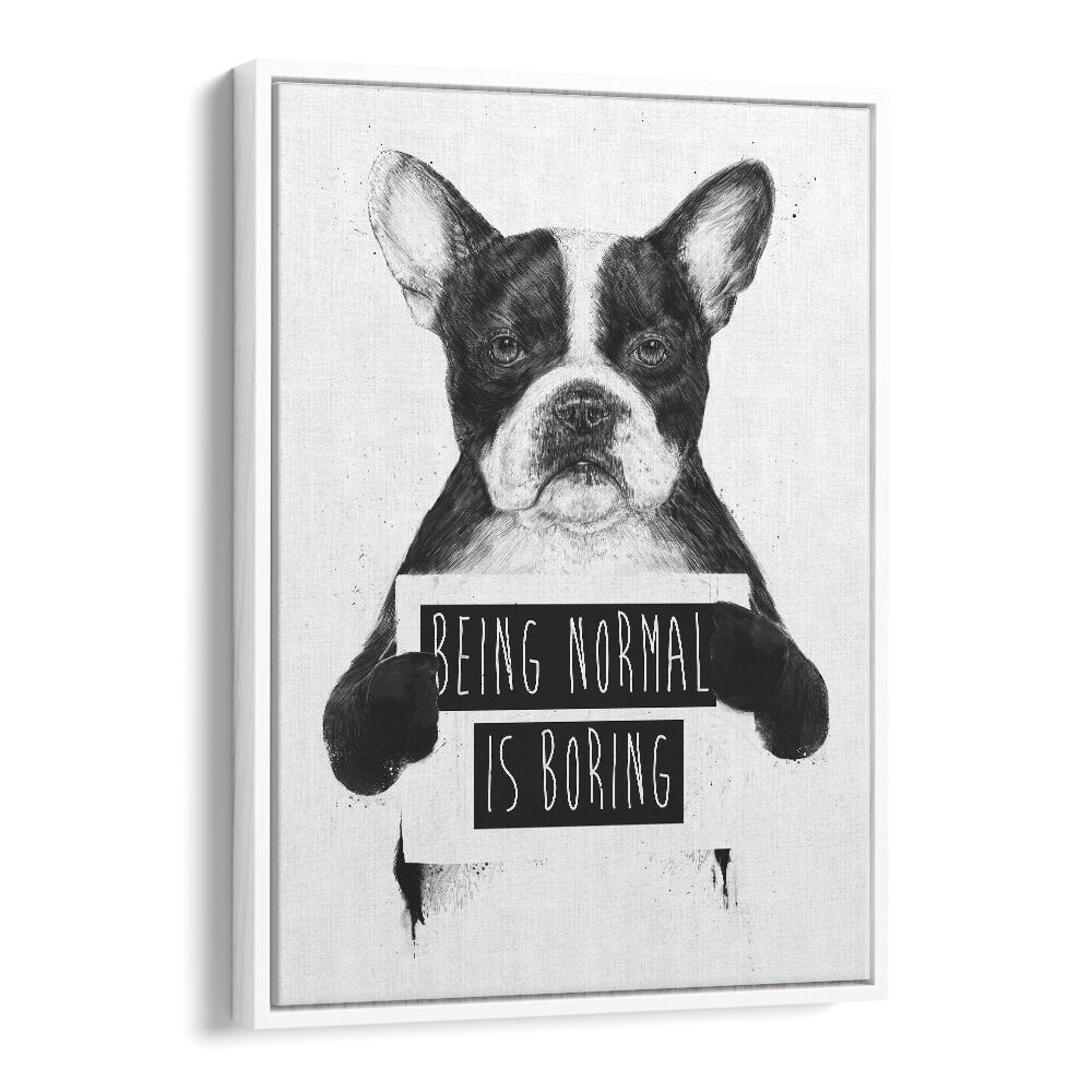 Being Normal Is Boring By Balazs Solti Wildlife Art Prints in White Floater Frame