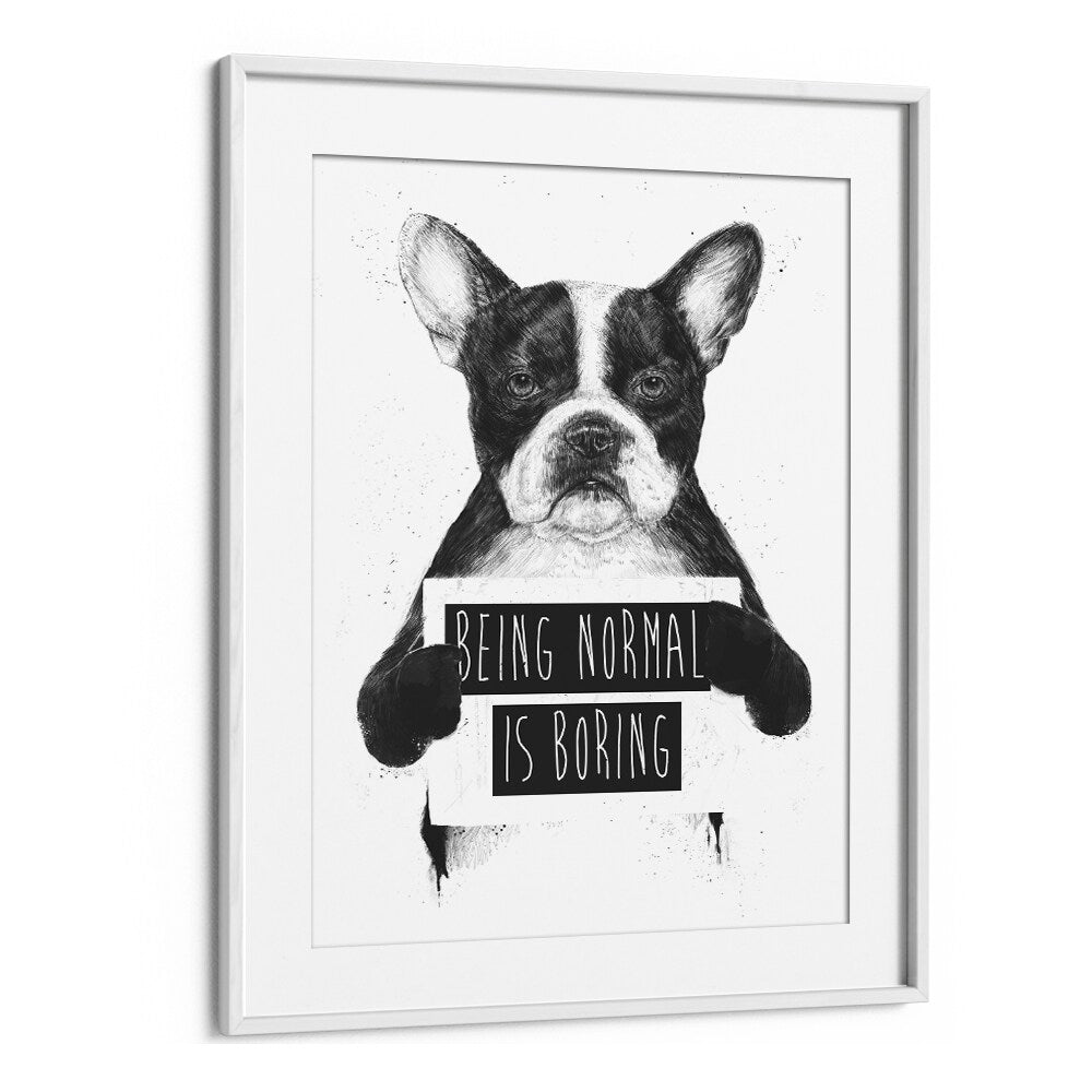 Being Normal Is Boring By Balazs Solti Wildlife Art Prints in White Frame With Mount