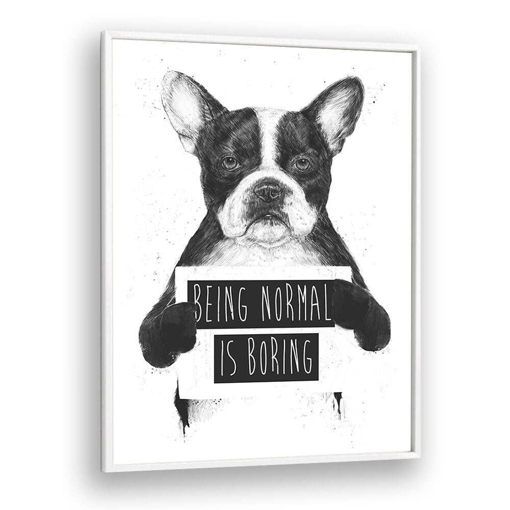 Being Normal Is Boring By Balazs Solti Wildlife Art Prints in White Plain Frame