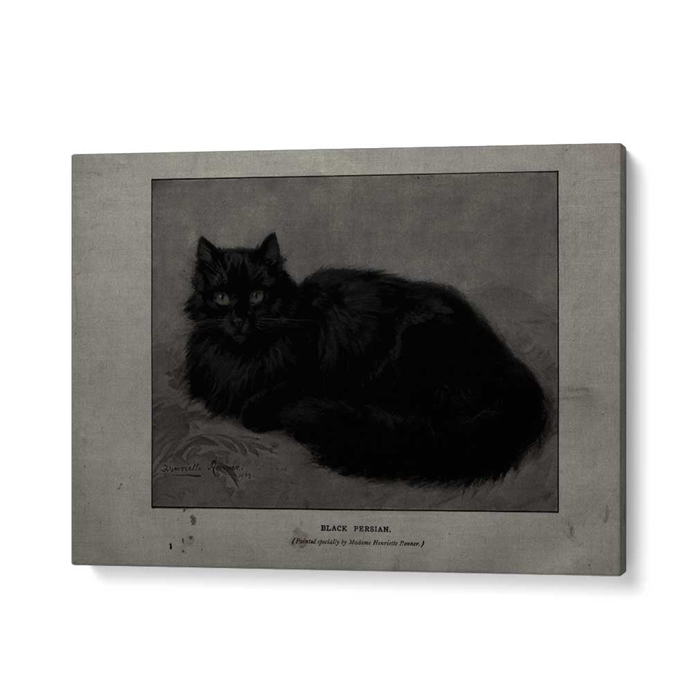 Black Persian Gothic Wall Art Prints in Gallery Wrap