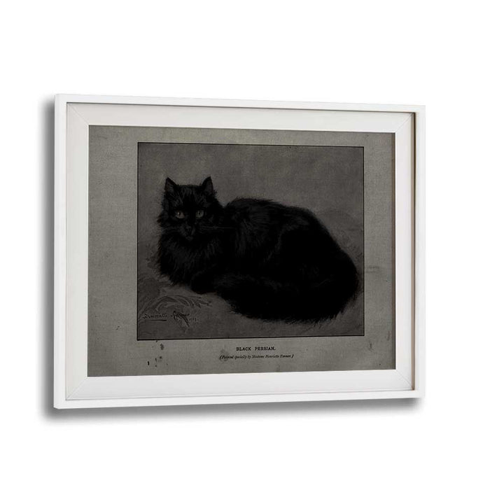 Black Persian Gothic Wall Art Prints in White Frame With Mount