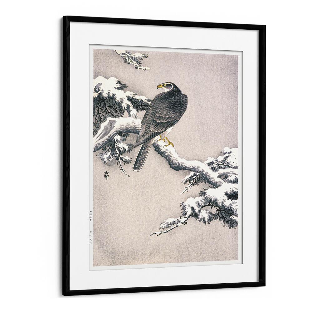 GOSHAWK ON SNOW-COVERED PINE BOUGH BY OHARA KOSON (1877–1945)