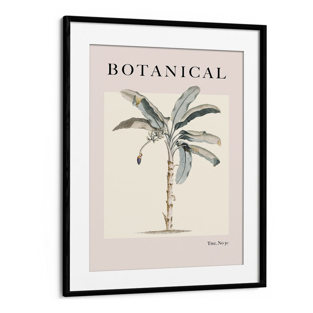 Botanical Palm By Grace Digital Art Co Beach Prints in Black Frame With Mount