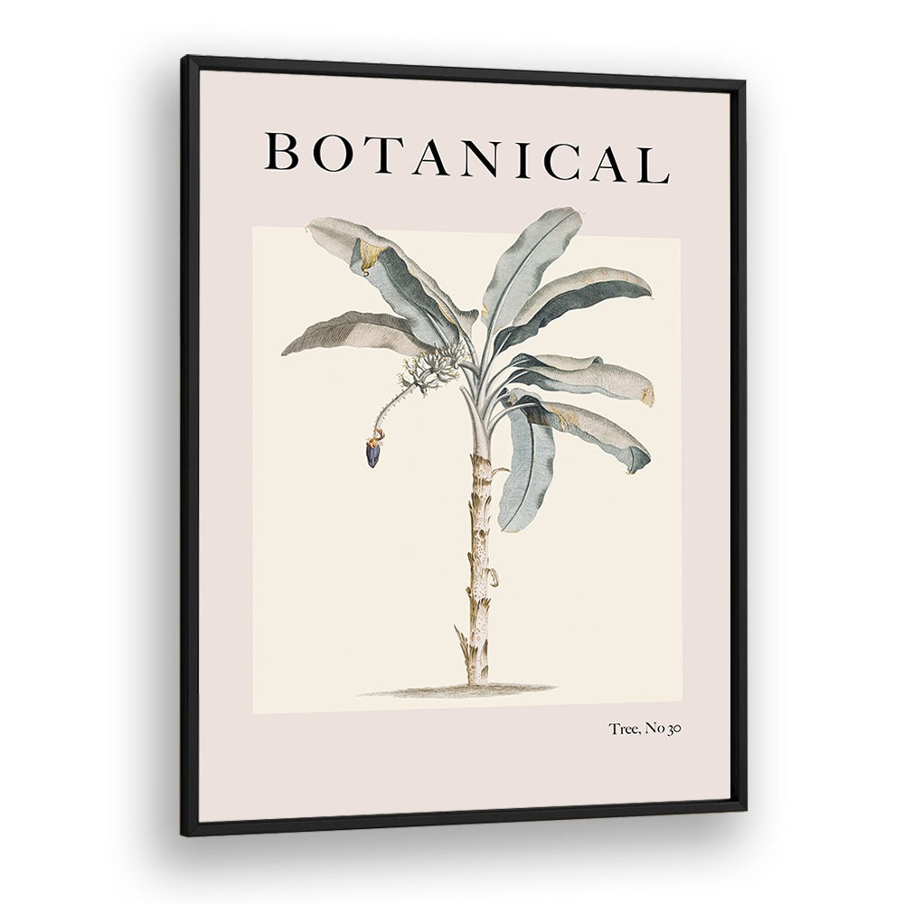 Botanical Palm By Grace Digital Art Co Beach Prints in Black Plain Frame