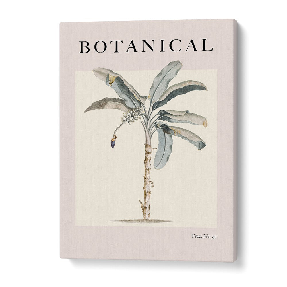 Botanical Palm By Grace Digital Art Co Beach Prints in Gallery Wrap