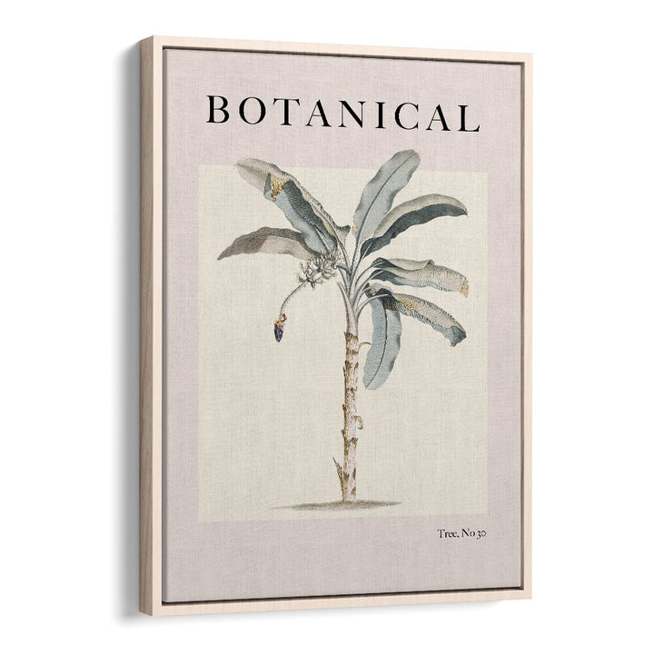 Botanical Palm By Grace Digital Art Co Beach Prints in Oak Wood Floater Frame