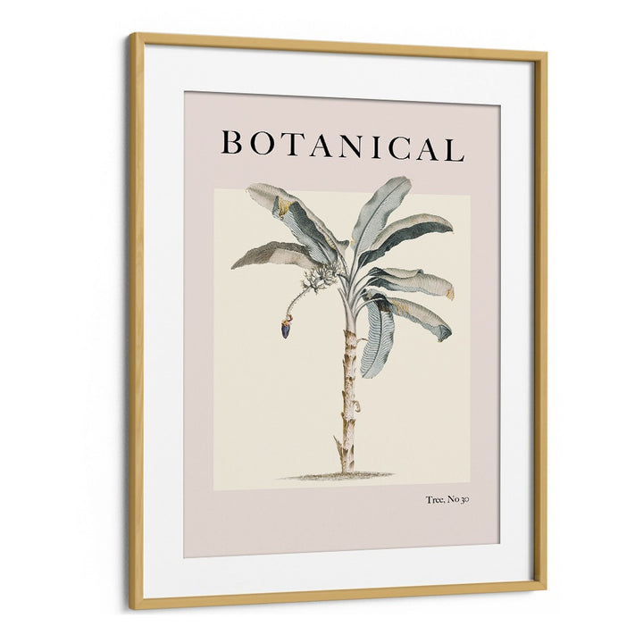 Botanical Palm By Grace Digital Art Co Beach Prints in Oak Wood Frame With Mount