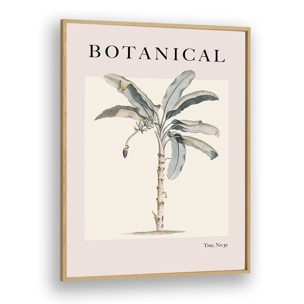 Botanical Palm By Grace Digital Art Co Beach Prints in Oak Wood Plain Frame