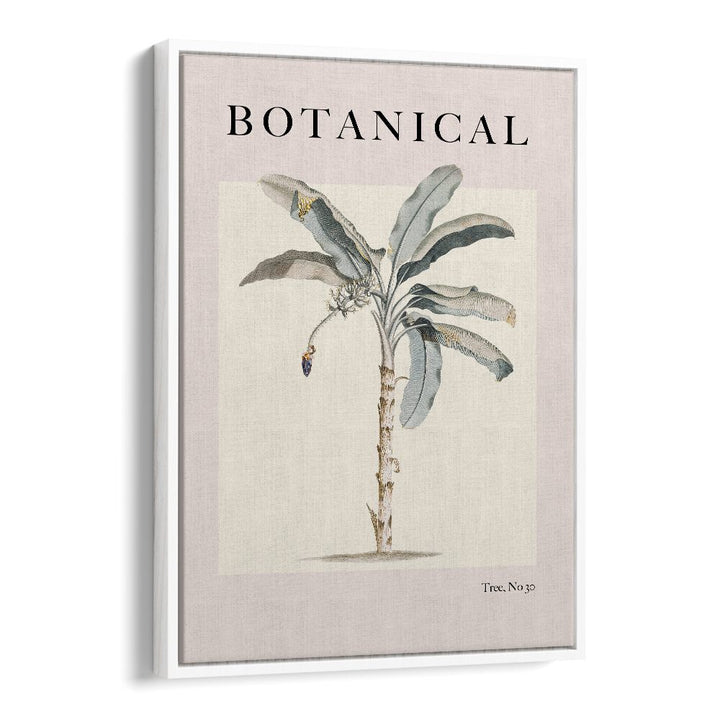 Botanical Palm By Grace Digital Art Co Beach Prints in White Floater Frame