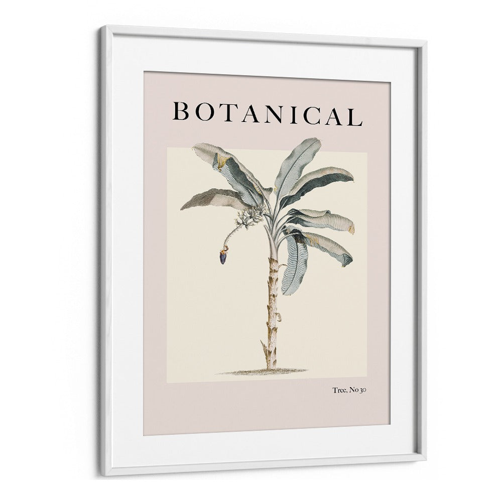 Botanical Palm By Grace Digital Art Co Beach Prints in White Frame With Mount