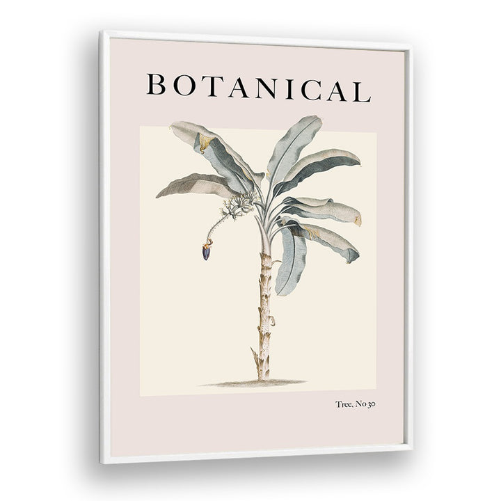 Botanical Palm By Grace Digital Art Co Beach Prints in White Plain Frame