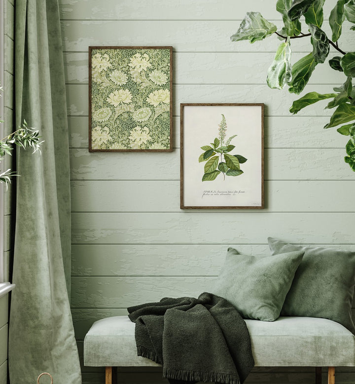 gallerywall painting - BOTANICAL GREENS GALLERY WALL by Asianmonk