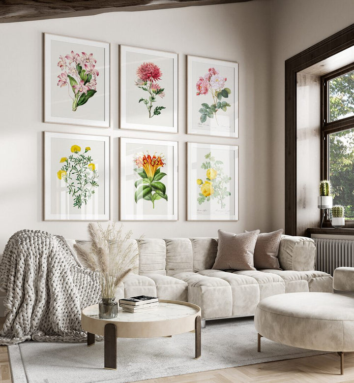 gallerywall painting - BOTANICAL GALLERY WALL SET OF 6 by Asianmonk