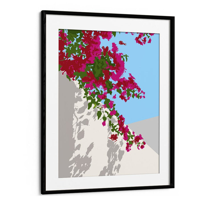 Bougainvillea Blossom By Uma Gokhale Botanical Art Prints in Black Frame With Mount