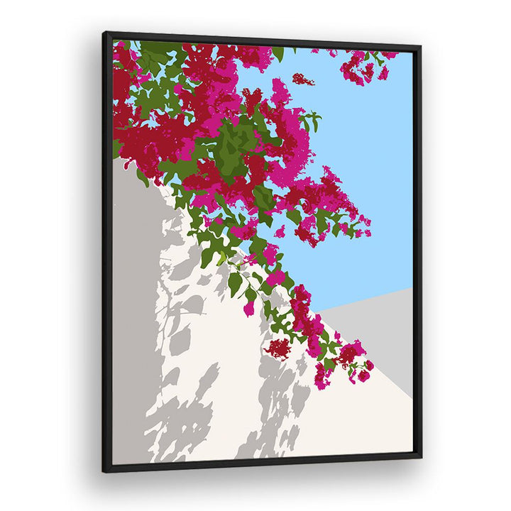 Bougainvillea Blossom By Uma Gokhale Botanical Art Prints in Black Plain Frame