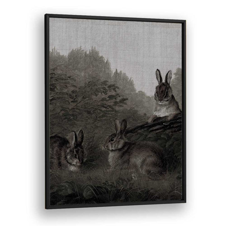 Bunny Dreams Whimsical Whiskers And Fluffy Tails Gothic Art Prints in Black Plain Frame