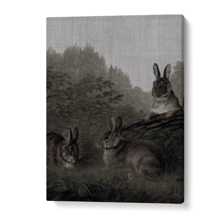 Bunny Dreams Whimsical Whiskers And Fluffy Tails Gothic Art Prints in Gallery Wrap