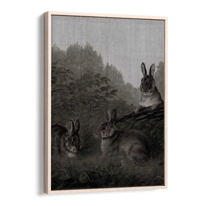 Bunny Dreams Whimsical Whiskers And Fluffy Tails Gothic Art Prints in Oak Wood Floater Frame