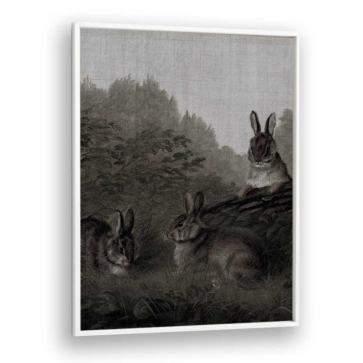 Bunny Dreams Whimsical Whiskers And Fluffy Tails Gothic Art Prints in White Plain Frame