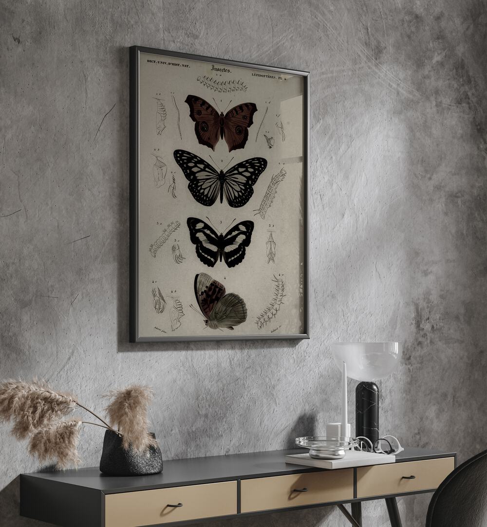 Butterfly Veil Gothic Secrets Concealed In Delicate Wings Gothic Art Prints in Black Plain Frame hanging on wall above console table.