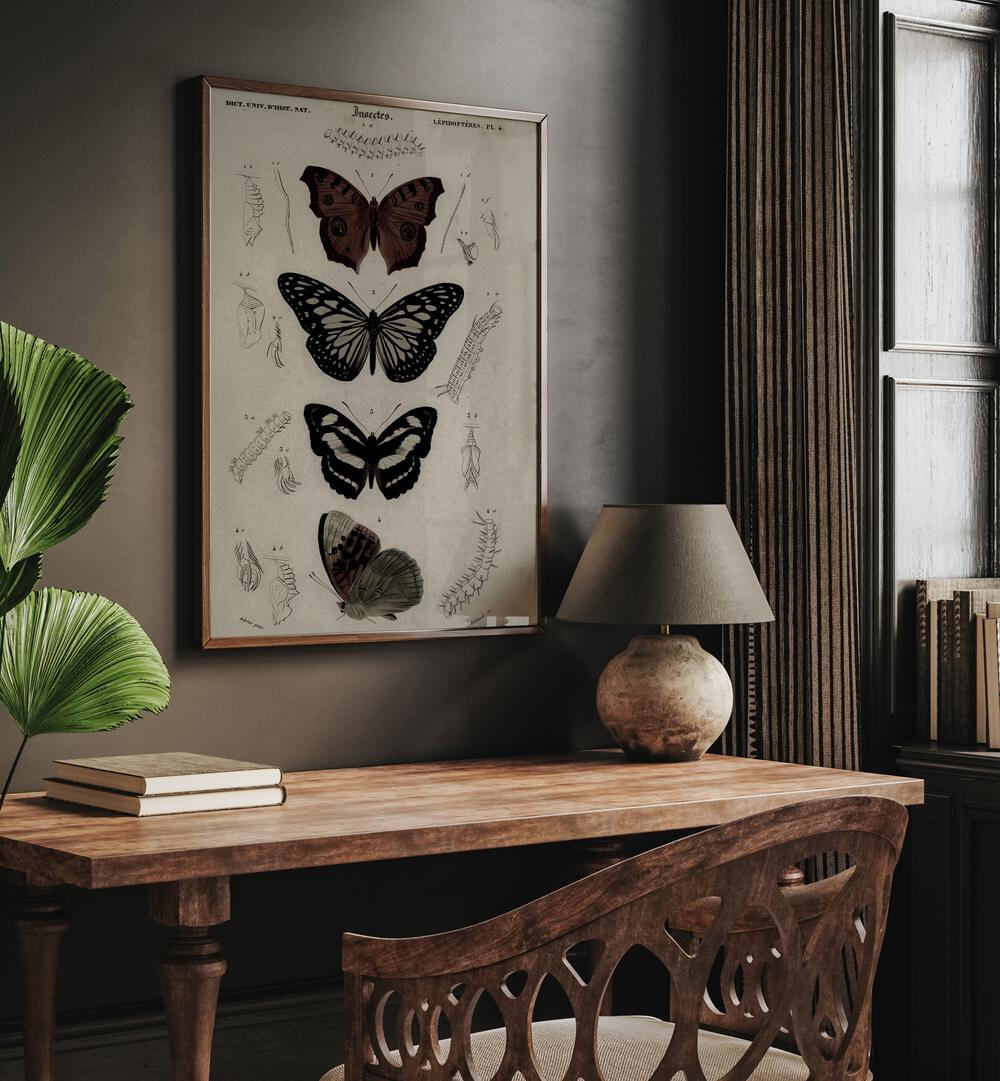 Butterfly Veil Gothic Secrets Concealed In Delicate Wings Gothic Art Prints in Oak Wood Plain Frame hanging on wall above study table beside a window.