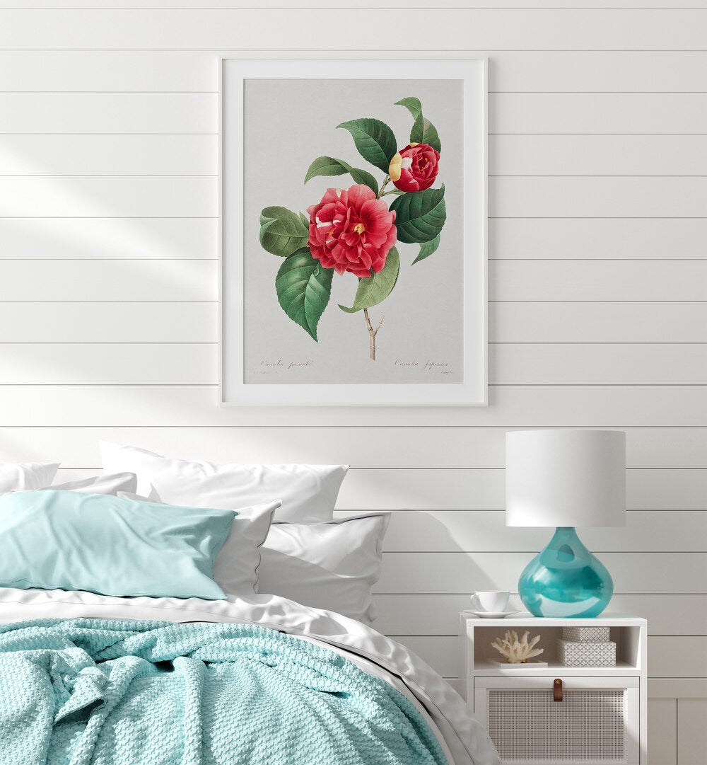 Choix Des Plus Belles Fleurs Botanical Flower Paintings Artwork Placed on a wall