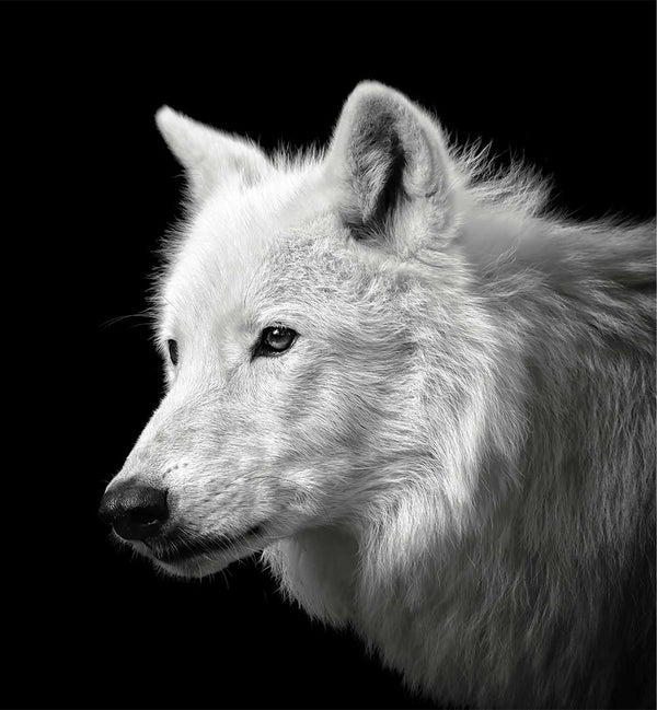 CHRISTIAN MEERMANN -PHOTOGRAPHER