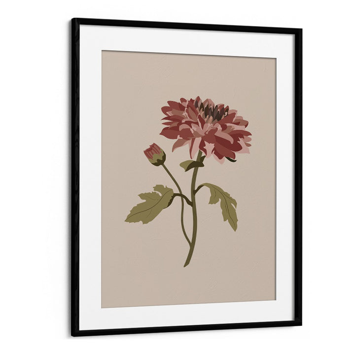 Chrysanthemum Flower Botanical Flower Paintings Artwork  in Black Frame With Mount