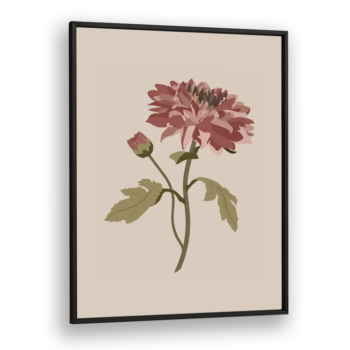 Chrysanthemum Flower Botanical Flower Paintings Artwork  in Black Plain Frame