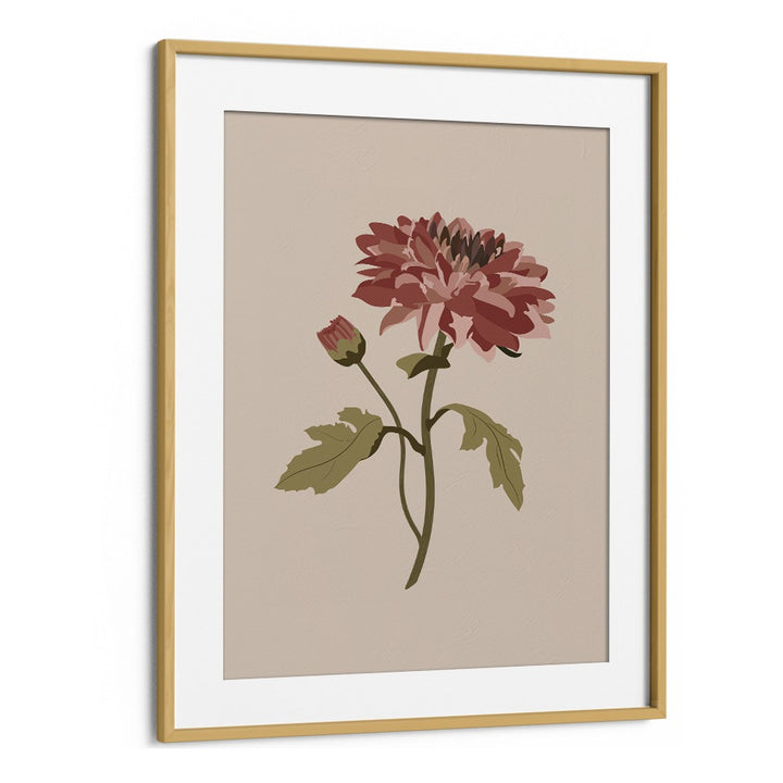 Chrysanthemum Flower Botanical Flower Paintings Artwork in Oak Wood Frame With Mount