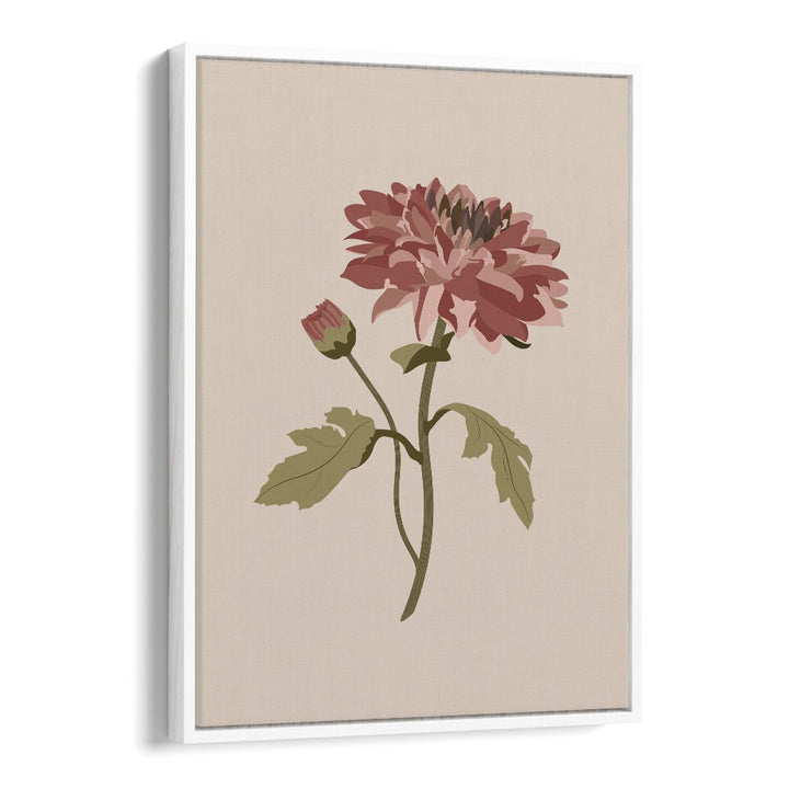 Chrysanthemum Flower Botanical Flower Paintings Artwork  in White Floater Frame