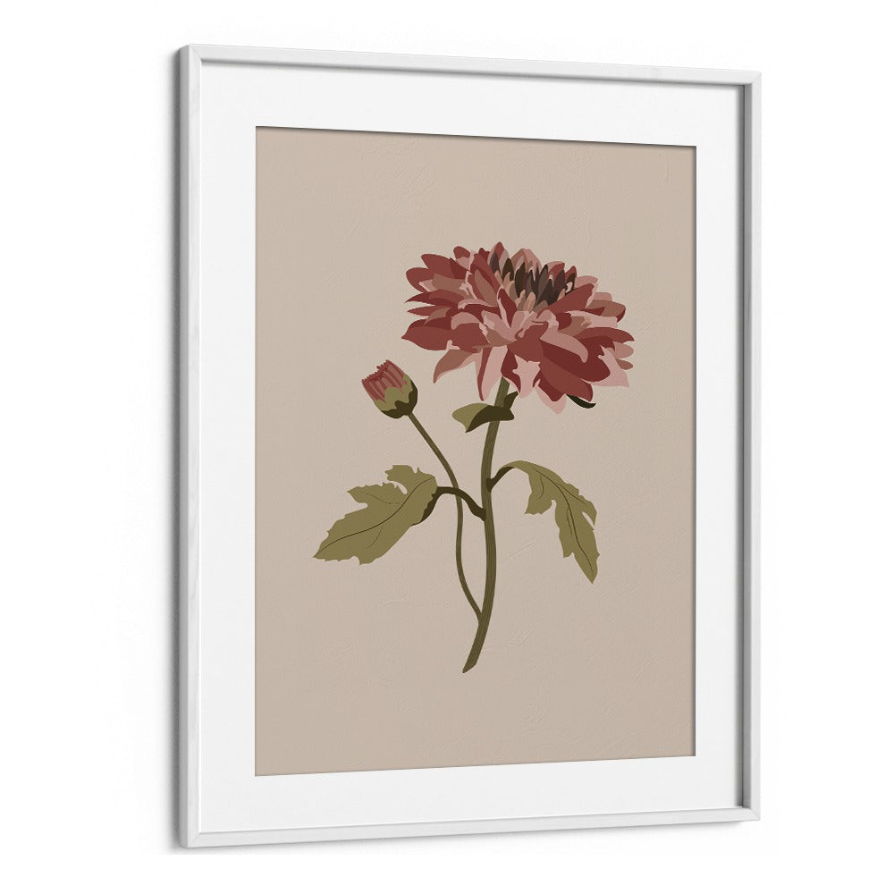 Chrysanthemum Flower Botanical Flower Paintings Paintings Artwork  in White frame With Mount