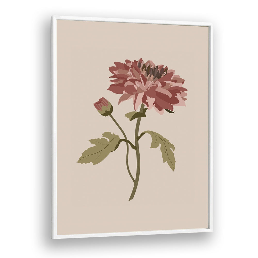 Chrysanthemum Flower Botanical Flower Paintings Artwork  in White Plain Frame