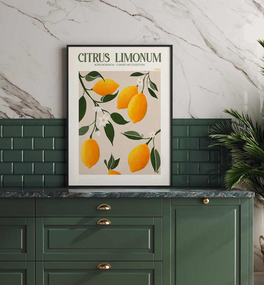 Citrus Limonum Botanical Flower Paintings Artwork Placed on a wall