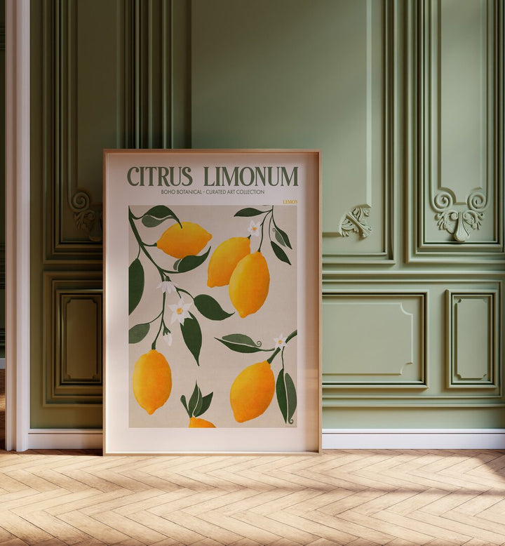 Citrus Limonum Botanical Flower Paintings Artwork Placed on a wall