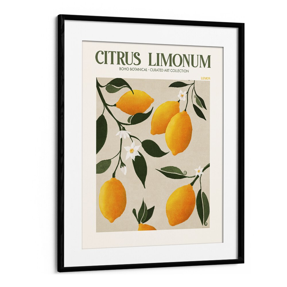 Citrus Limonum Botanical Flower Paintings Artwork  in Black Frame With Mount