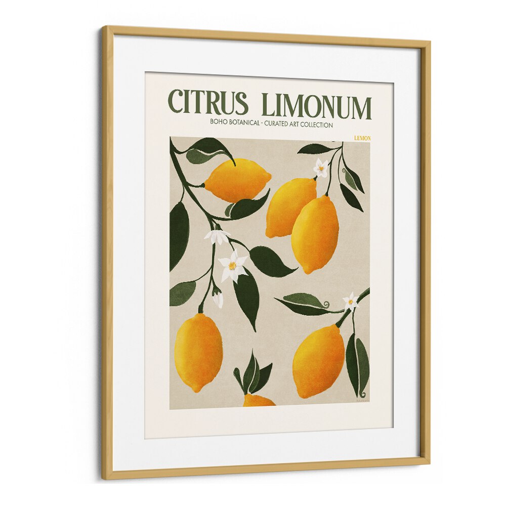 Citrus LimonumBotanical Flower Paintings Artwork in Oak Wood Frame With Mount