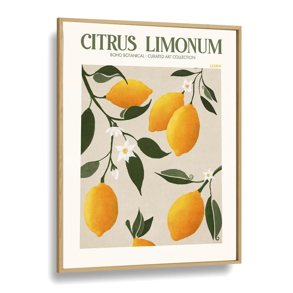 Citrus Limonum  Botanical Flower Paintings Artwork in Oak Wood Plain Frame