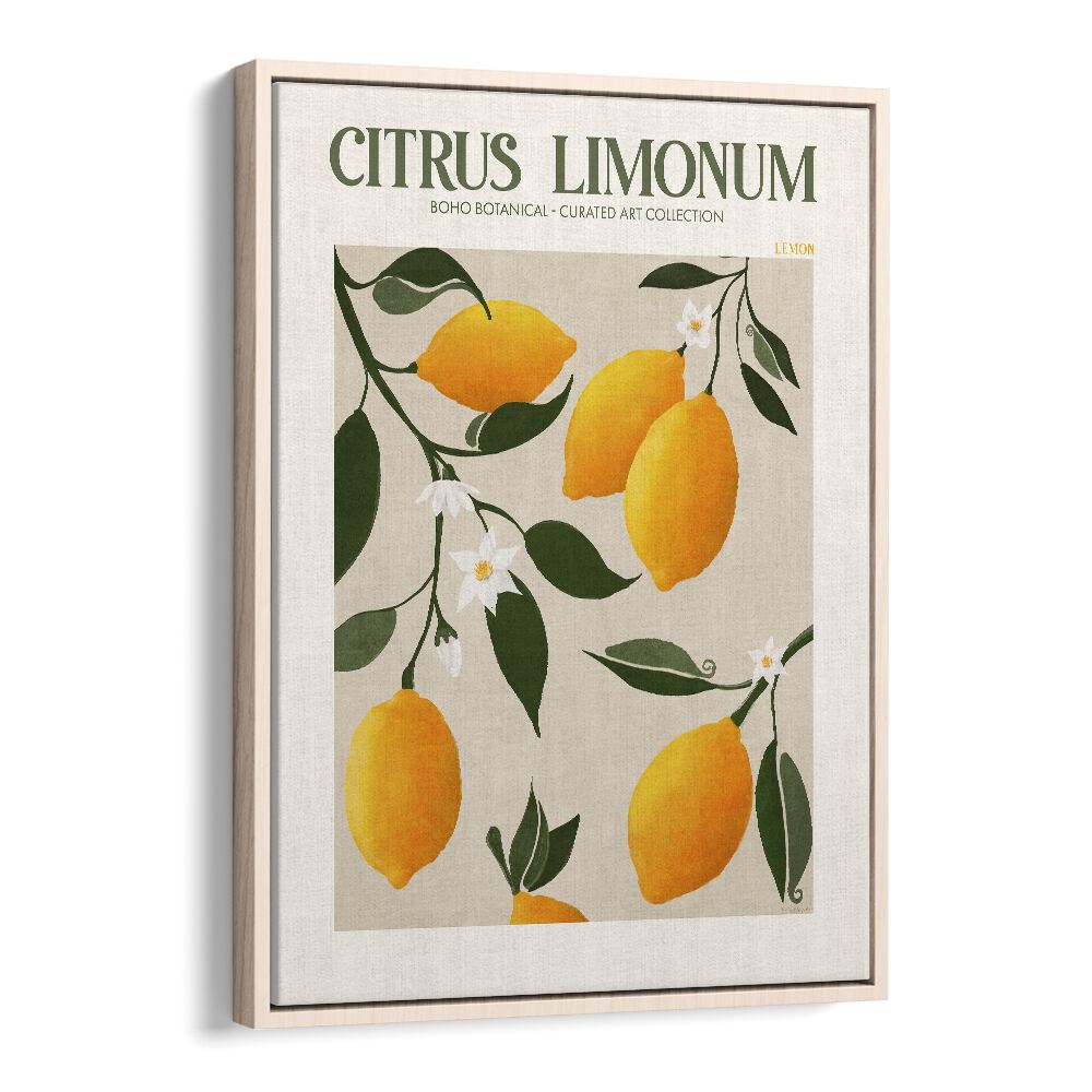 Citrus Limonum Botanical Flower Paintings Artwork in Oak Wood Floater Frame