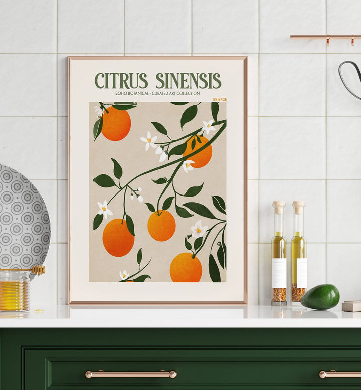 Citrus Sinesis Botanical Flower Paintings Artwork Placed on a wall