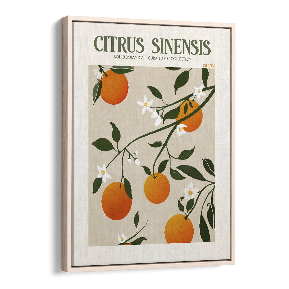 Citrus Sinesis    Botanical Flower Paintings Artwork in Oak Wood Floater Frame