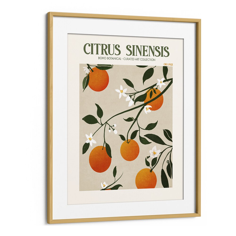 Citrus Sinesis Botanical Flower Paintings Artwork in Oak Wood Frame With Mount