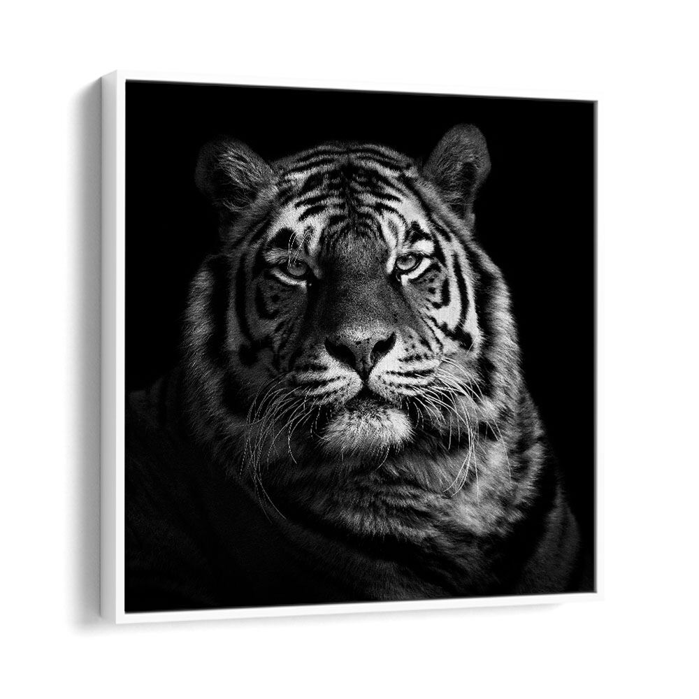 chre painting - TIGER - II by Asianmonk