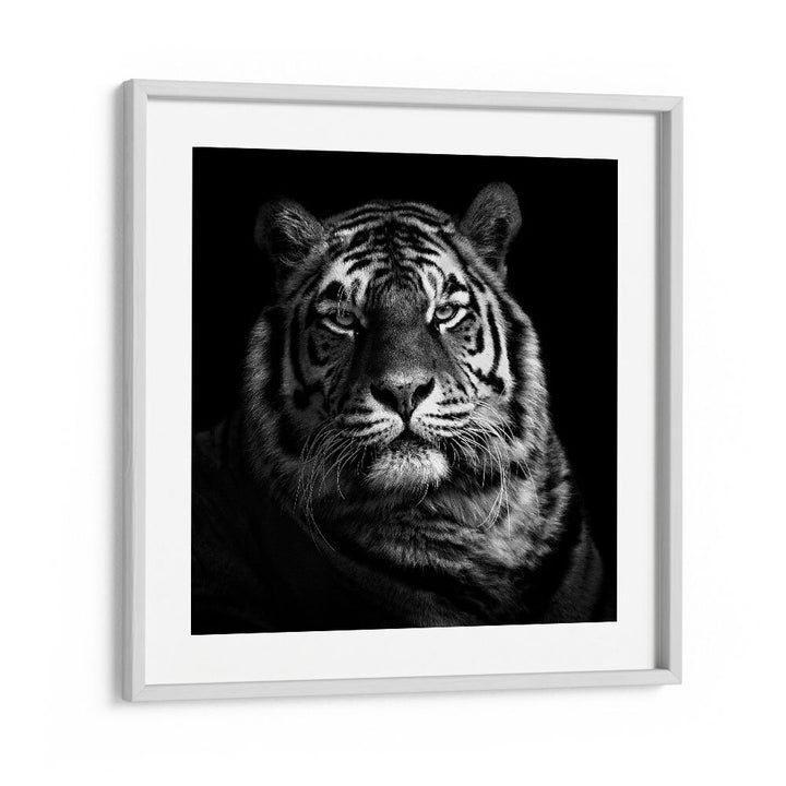 chre painting - TIGER - II by Asianmonk