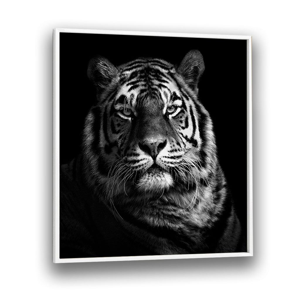 chre painting - TIGER - II by Asianmonk