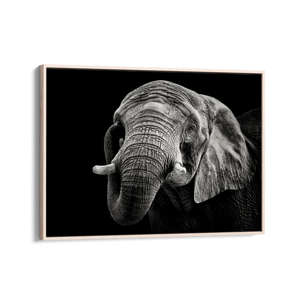 African painting - AFRICAN ELEPHANT by Asianmonk